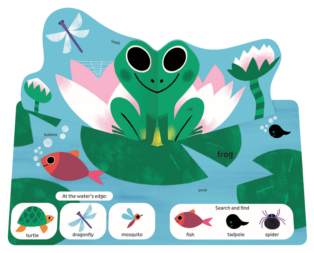 Pop Pop Pop: Bugs and Other Small Things