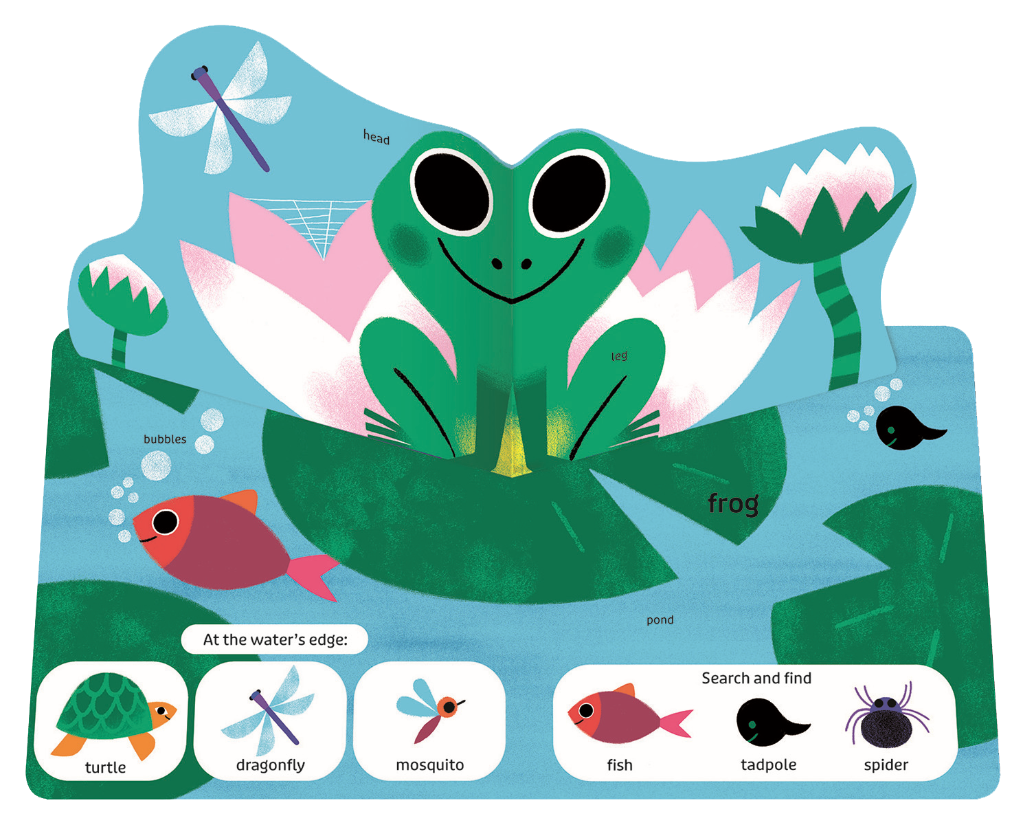 Pop Pop Pop: Bugs and Other Small Things
