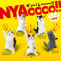 Blind box - NYAOOOO!! Pump Cat
