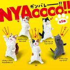 Blind box - NYAOOOO!! Pump Cat