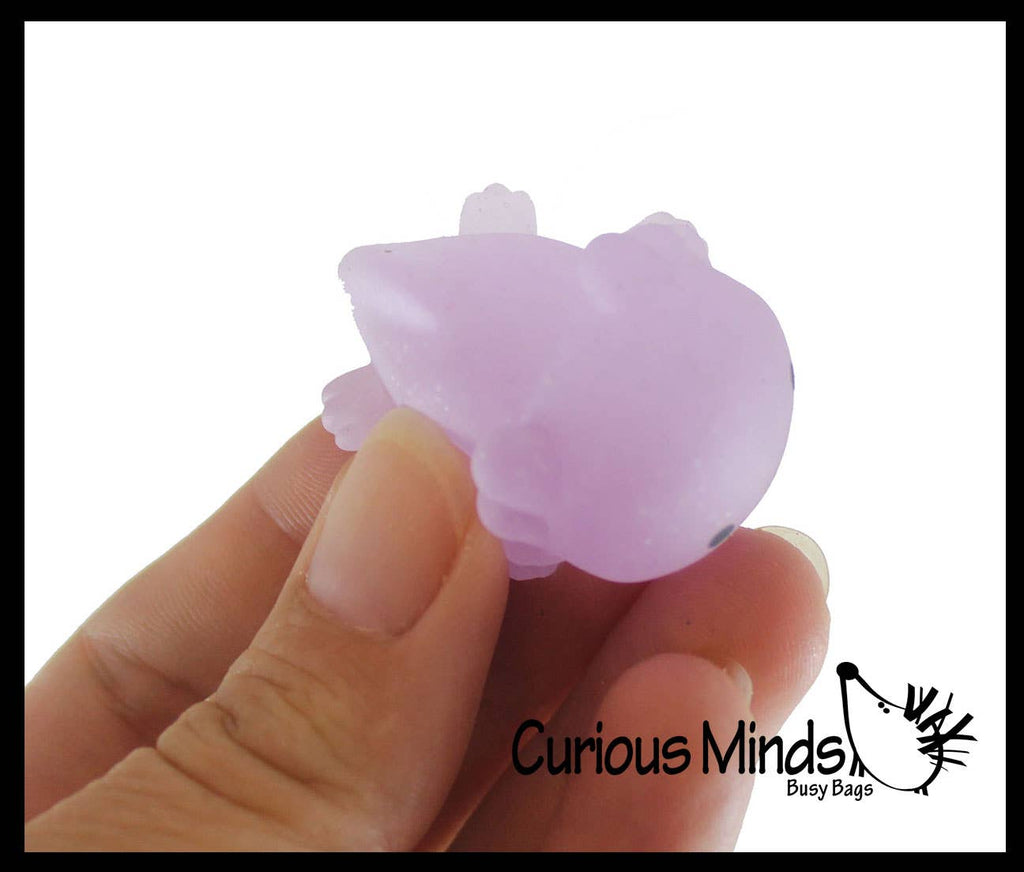 Axolotl Mochi Squishy Animals - Kawaii - Cute Jelly OT