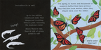 Shine-A-Light: Animal Journeys