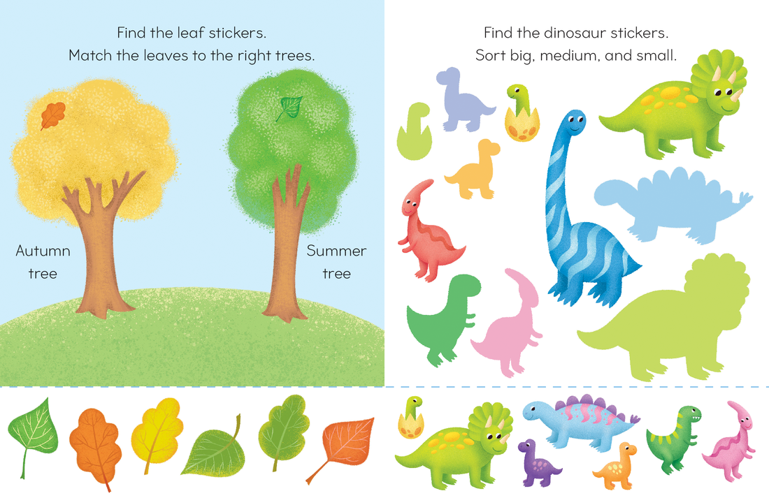 Motor Skills: Sorting