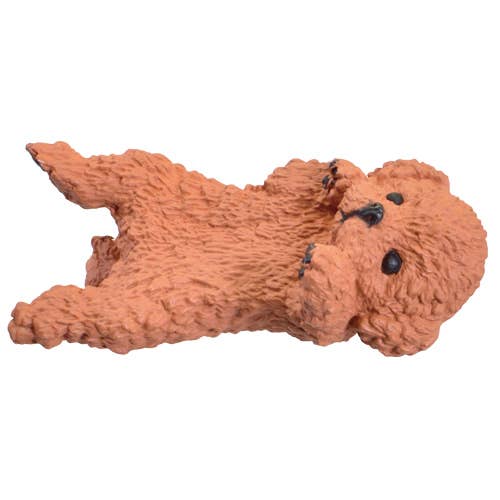 Surprise Box - Resting Dog