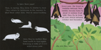 Shine-A-Light: Animal Journeys