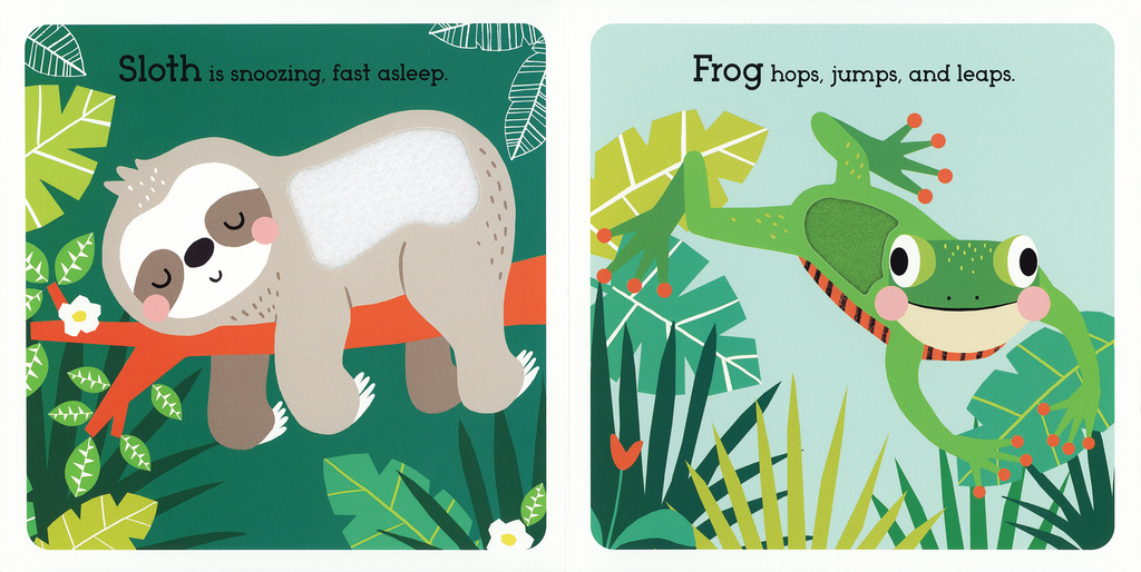 Read, Touch, Discover: Remarkable Rainforest