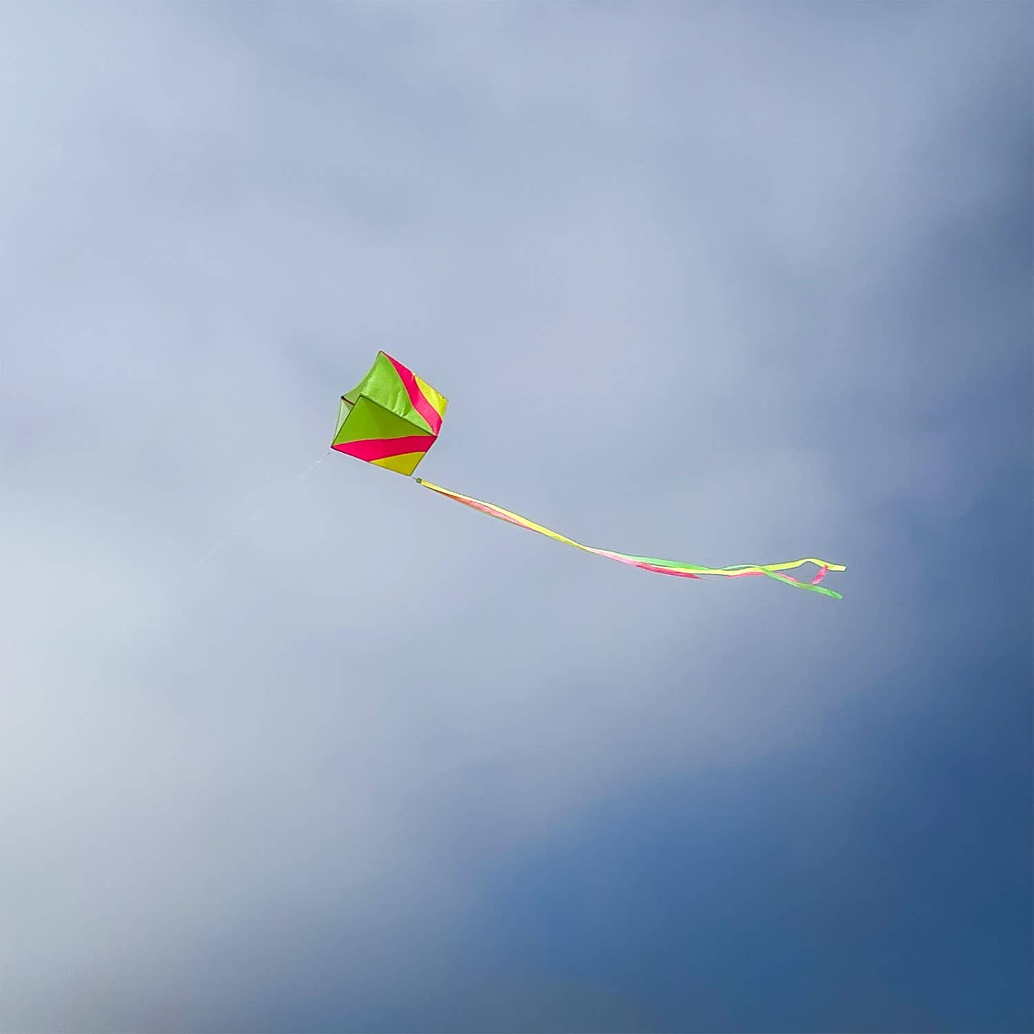 Neon Single Kite