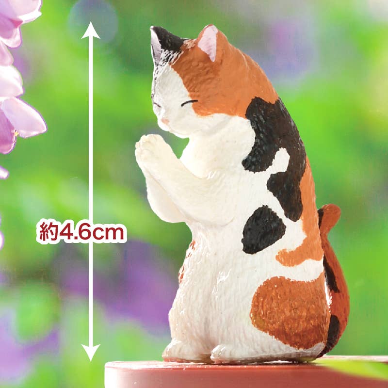 Surprise Box - Prayer Cat
