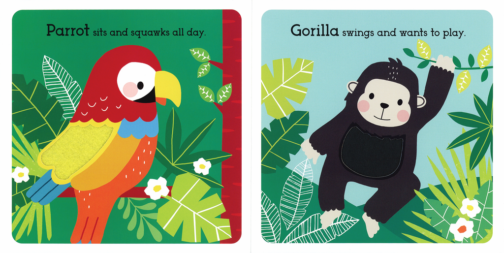 Read, Touch, Discover: Remarkable Rainforest