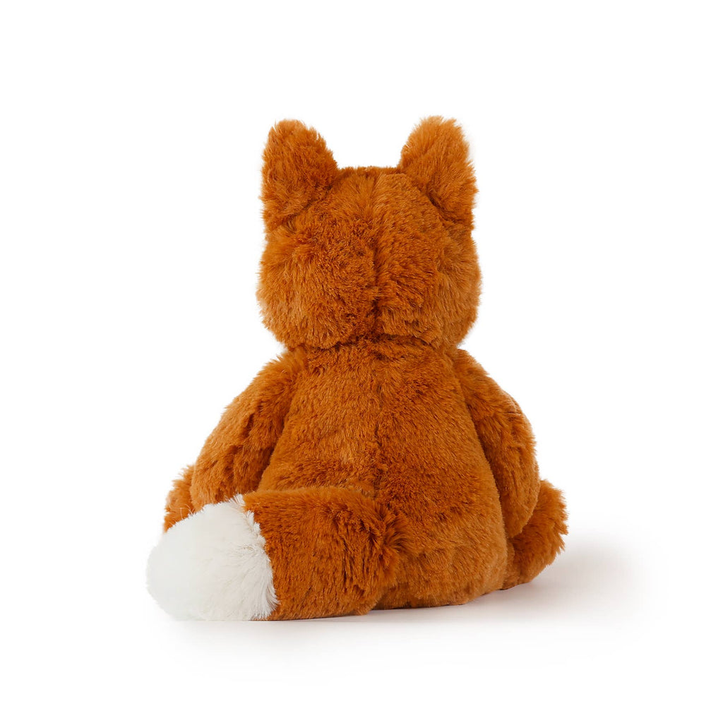 Little Frankie Fox