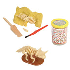 Dinosaur Sand Dig Fossil