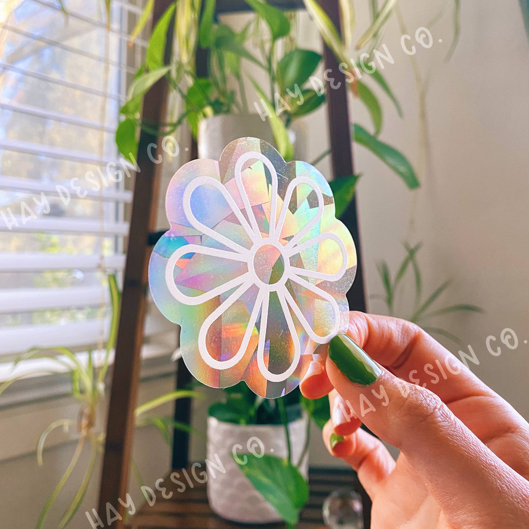 Variety Suncatcher 5 window decal pack