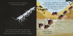 Shine-A-Light: Animal Journeys