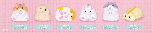 Surprise Box - Squishy Hamster