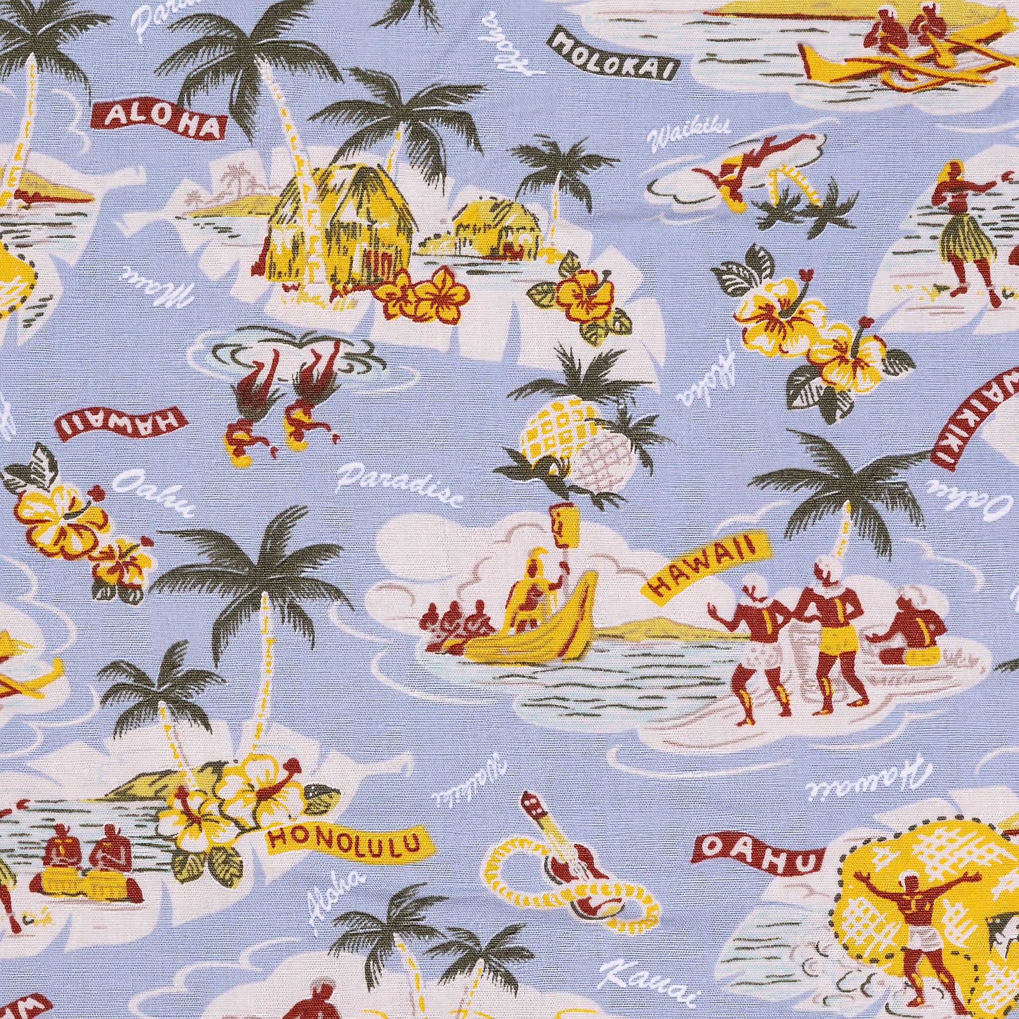 Anini Co Youth Aloha Shirt