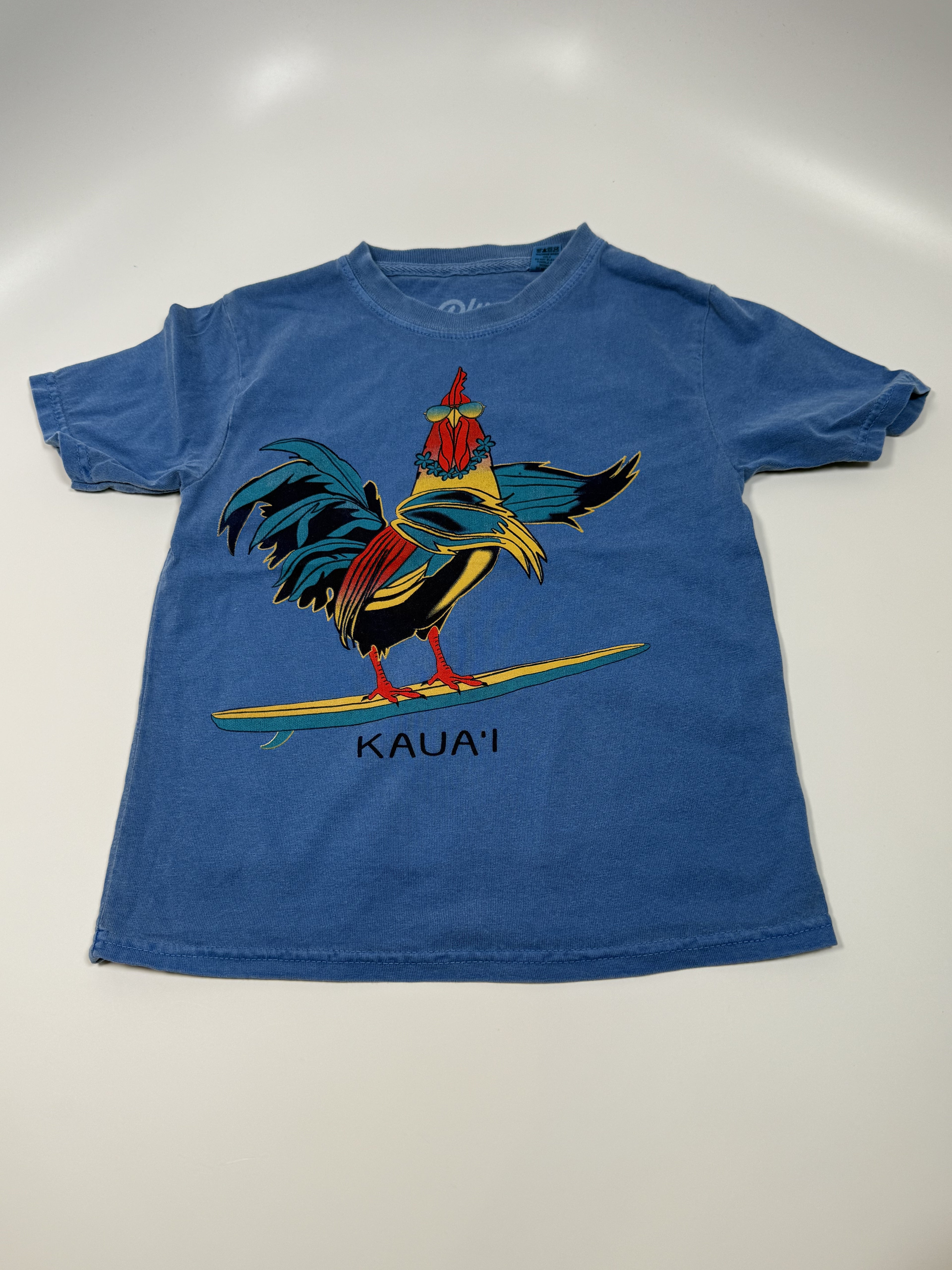 Kaua'i Surfing Chicken Shirt: Youth