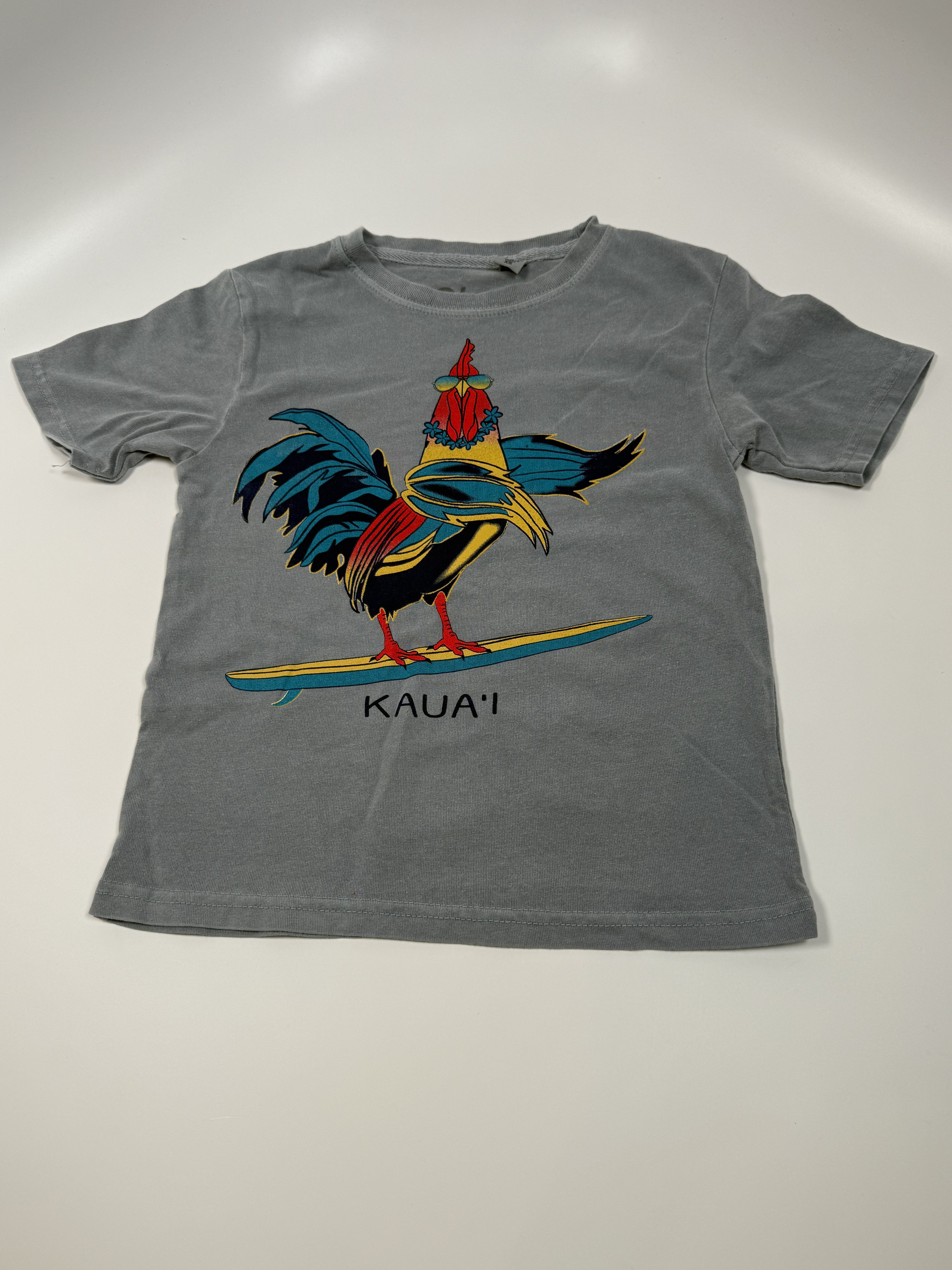 Kaua'i Surfing Chicken Shirt: Youth