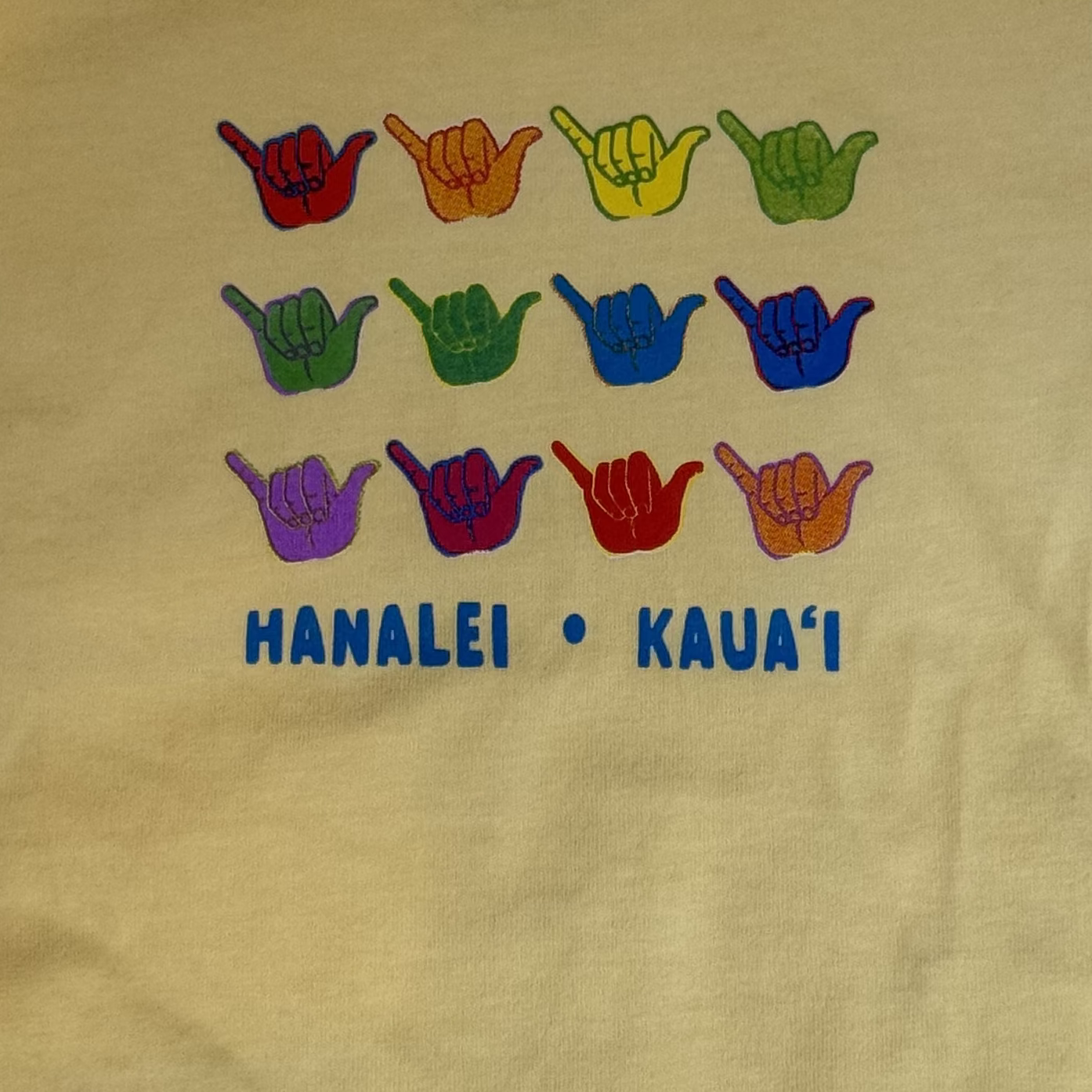 Shaka Hands Infant Shirt