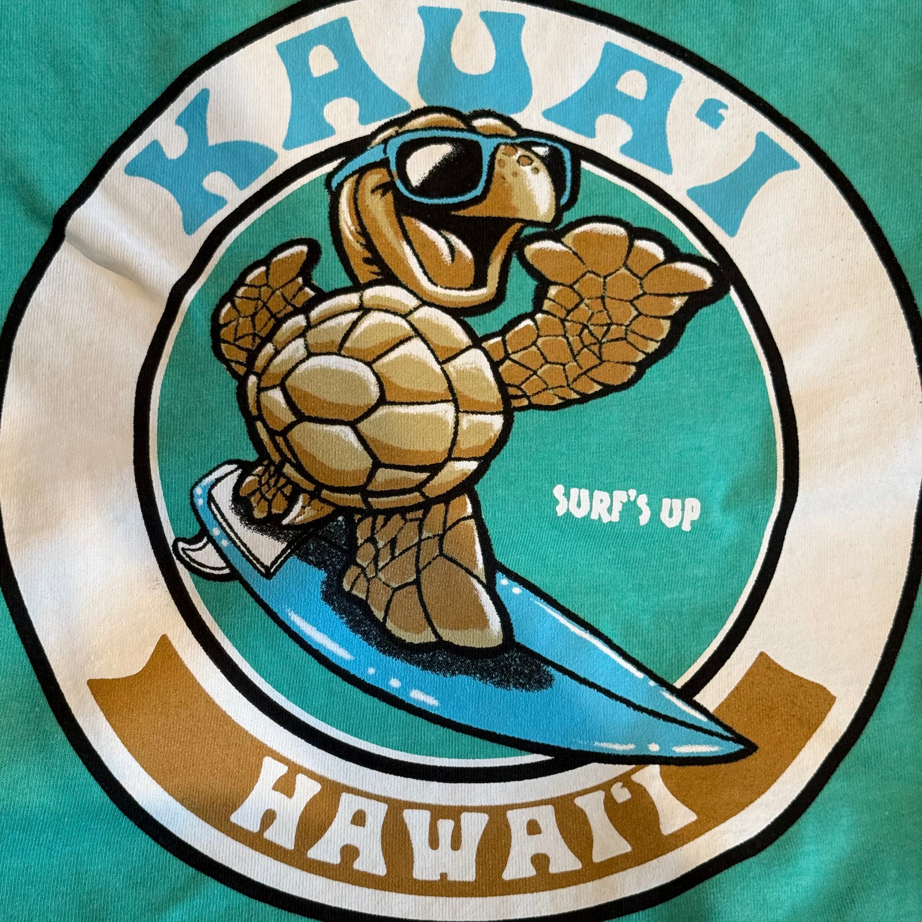 Francesco Turtle Shirt Youth