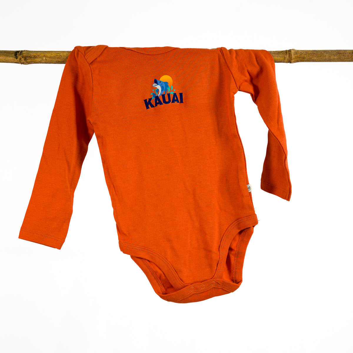 Infant Onesies - Long sleeve