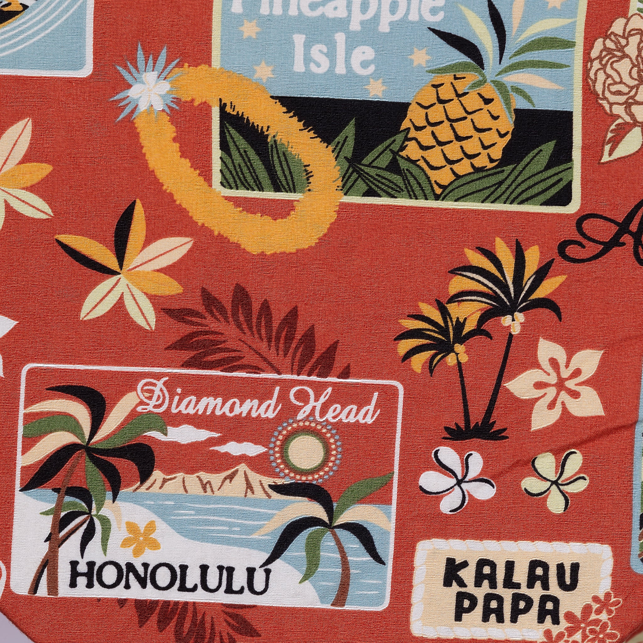 Anini Co Youth Aloha Shirt