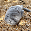 Monk Seal Plushie
