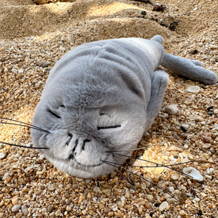 Monk Seal Plushie