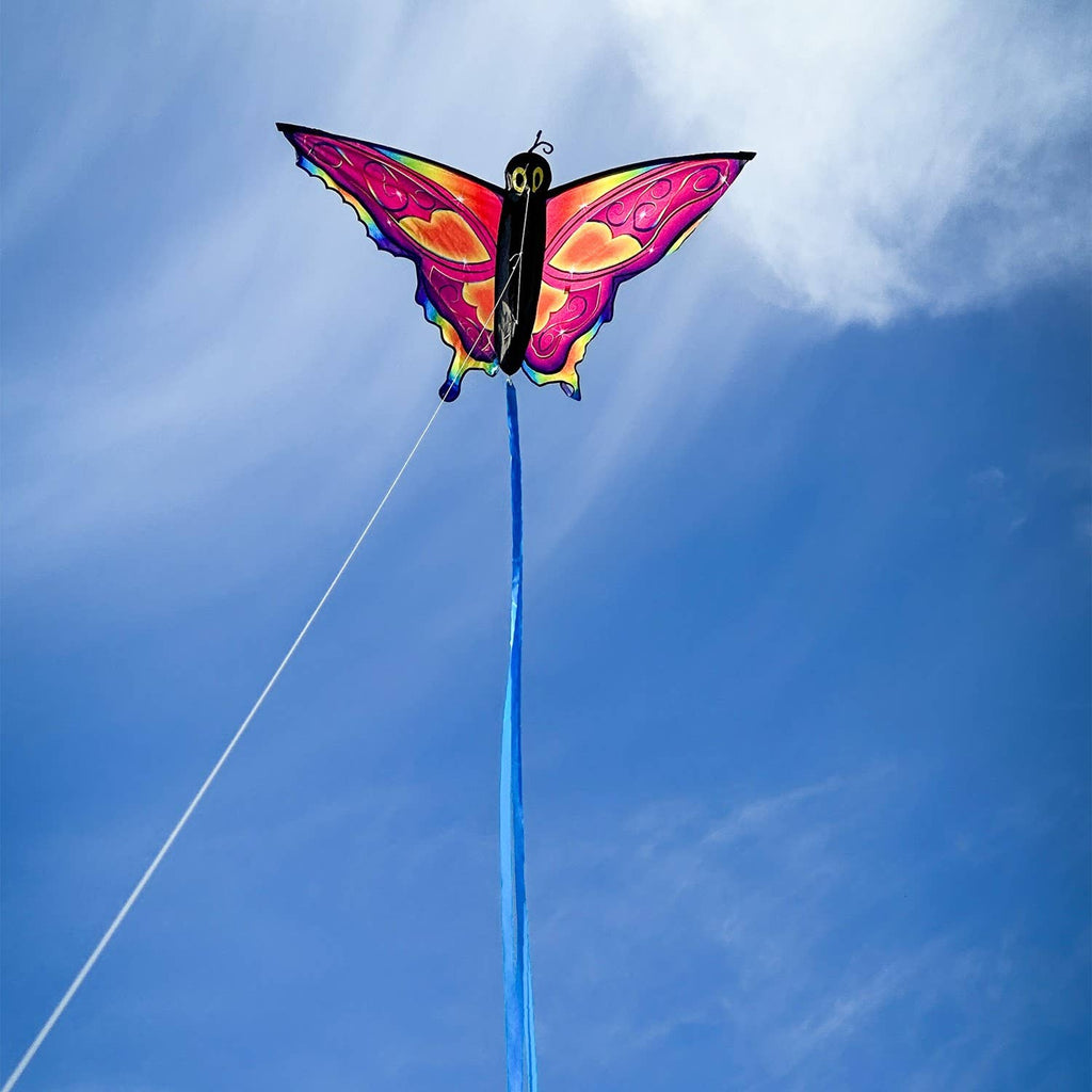 Fancy Butterfly Kite