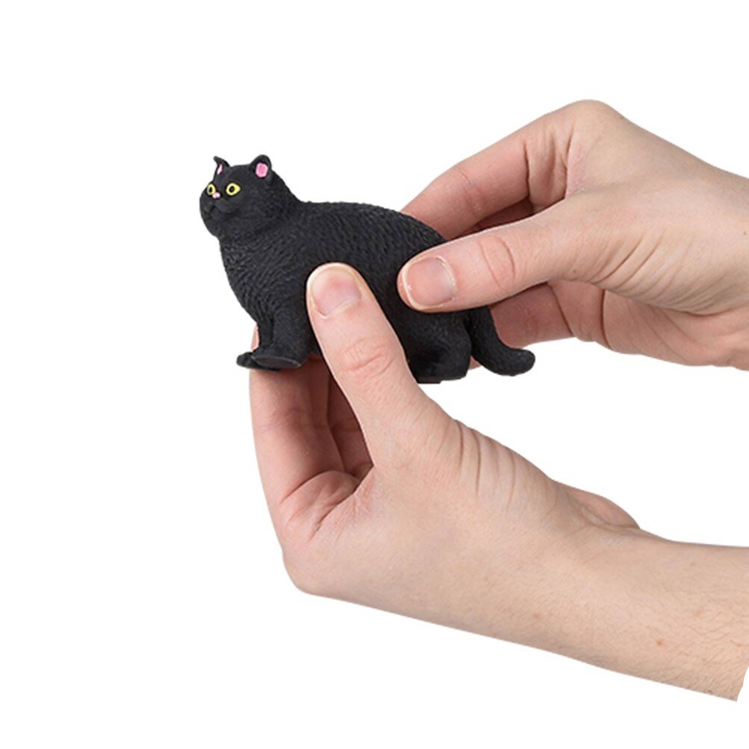 Cat Soft Squeeze