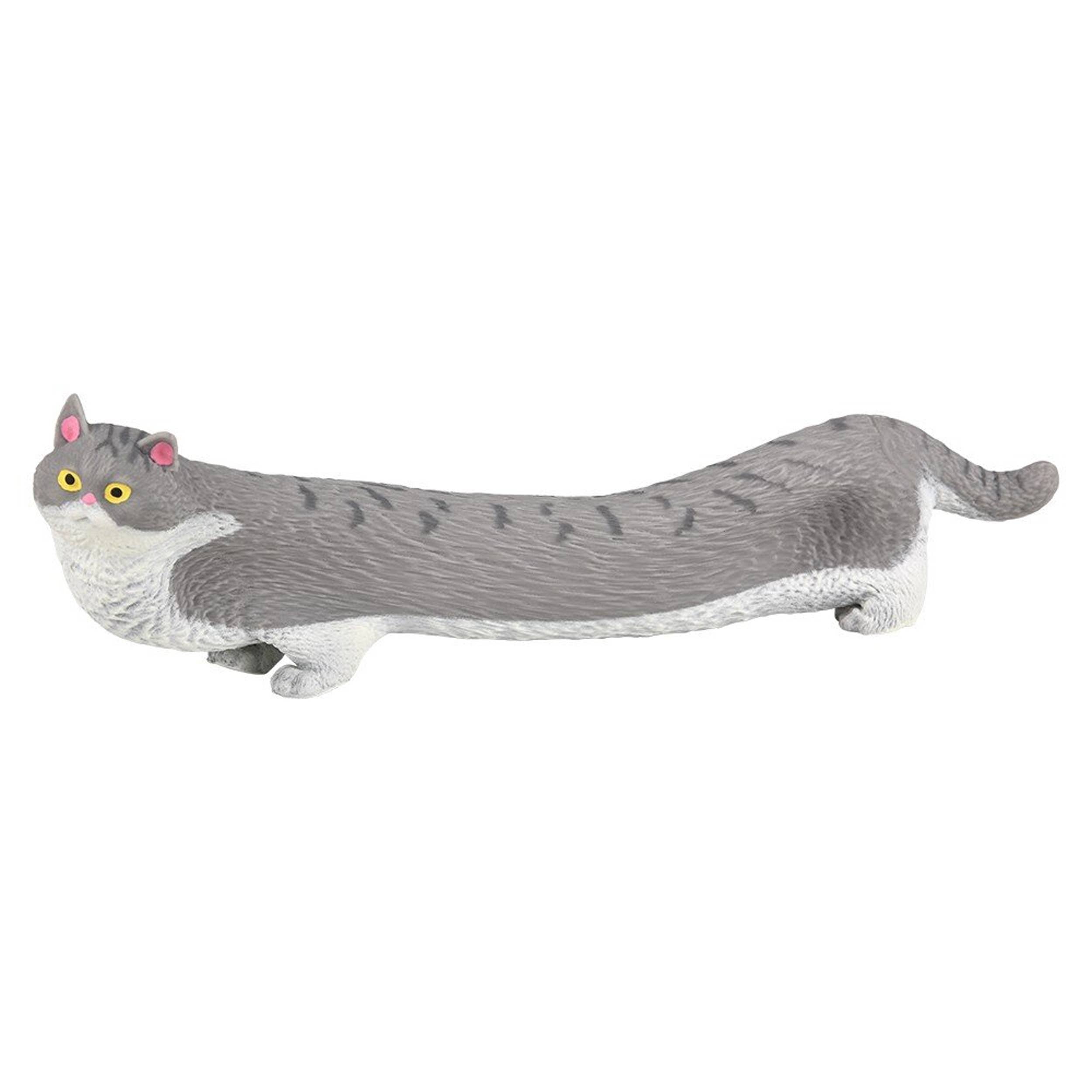 Cat Soft Squeeze