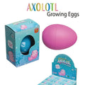 Axolotl Growing Egg