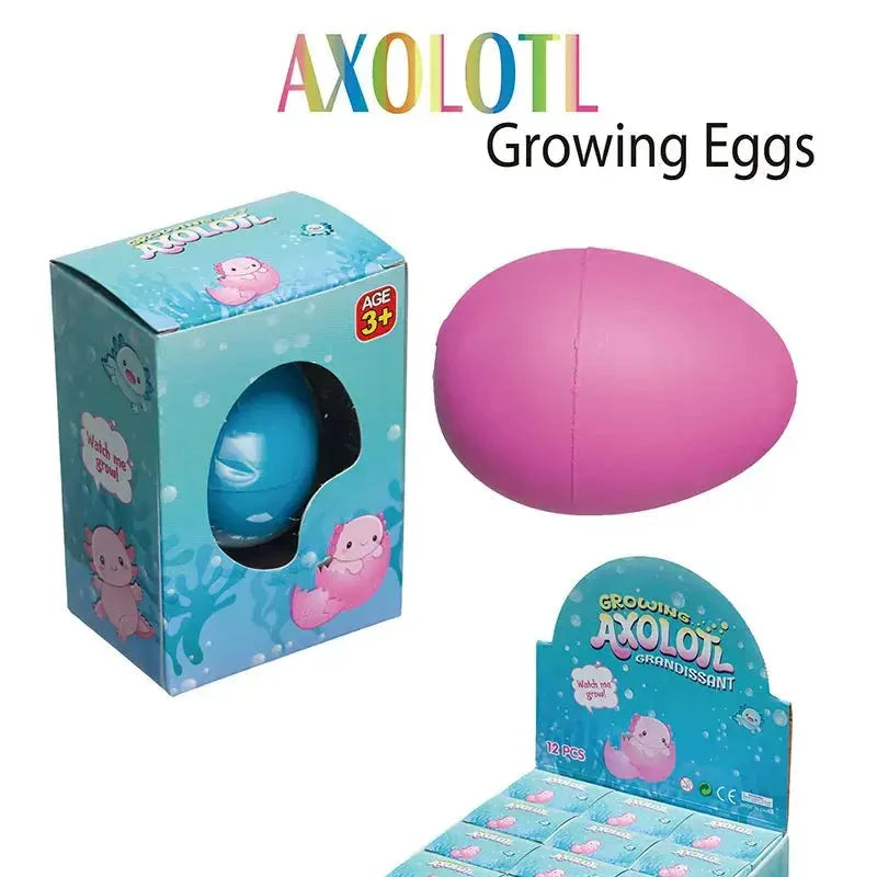Axolotl Growing Egg