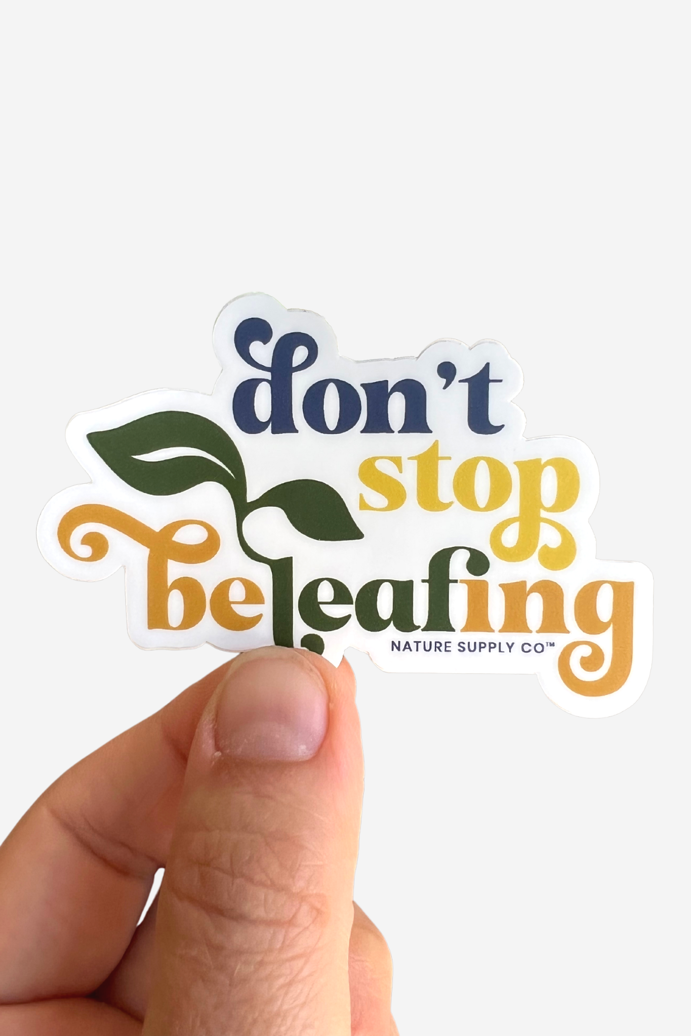 Don't Stop Beleafing Sticker | Gift
