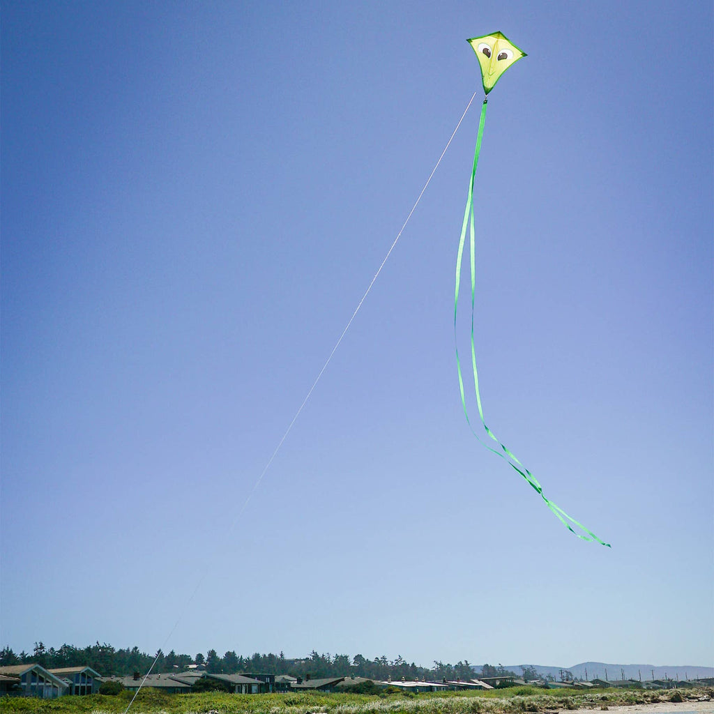 12" Diamond Kite