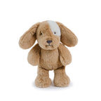 Little Duke Dog Caramel