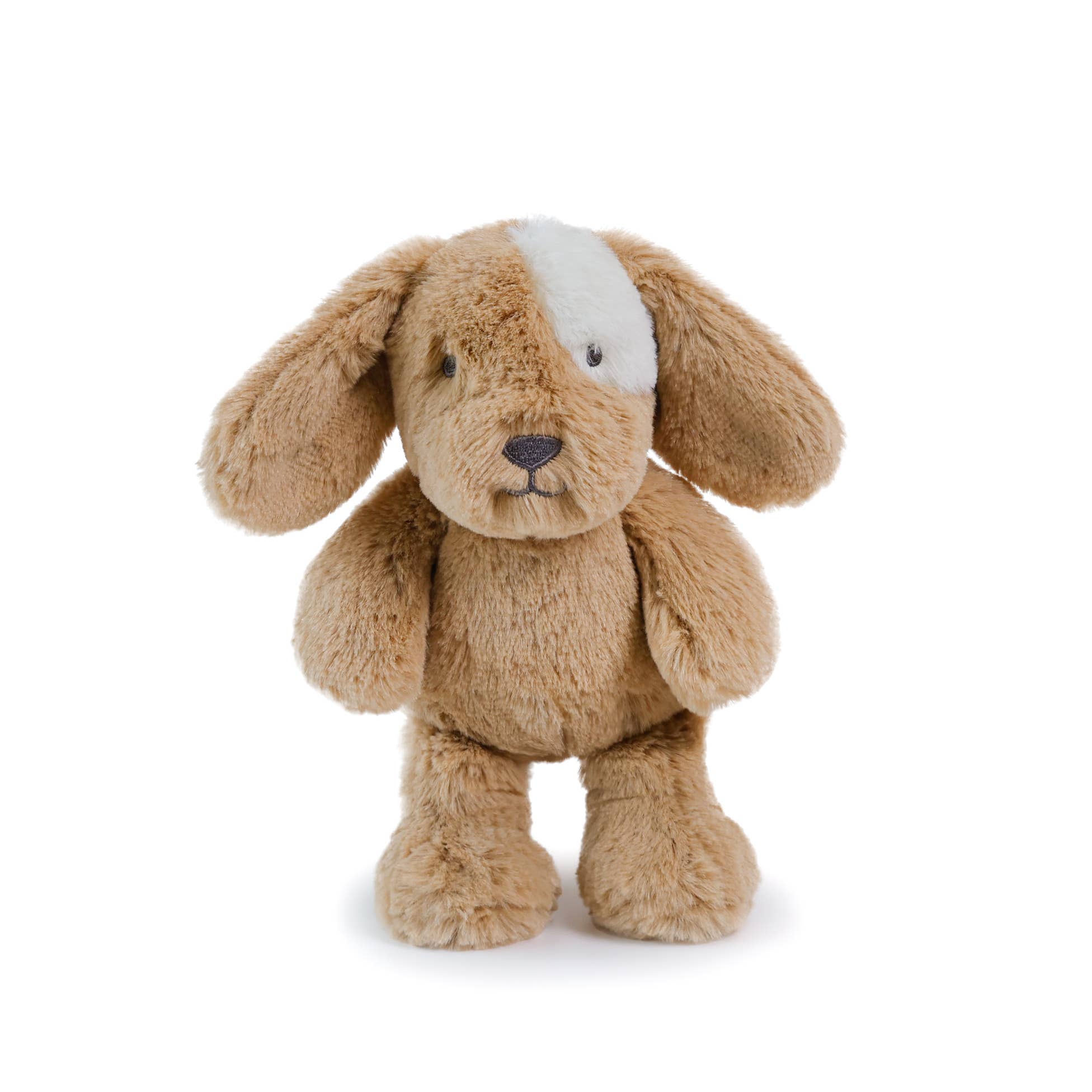 Little Duke Dog Caramel