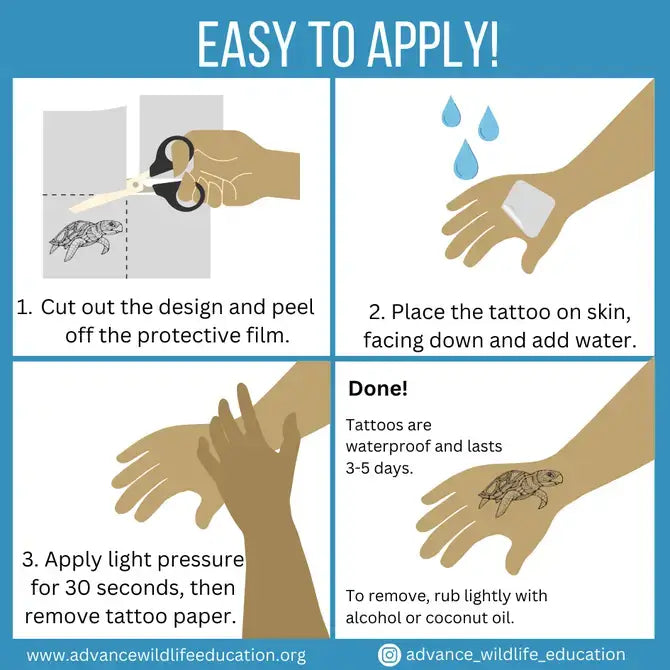 Sea Turtle Temporary Tattoo Sheet (Black)