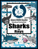 Sharks and Rays Educational Coloring Book