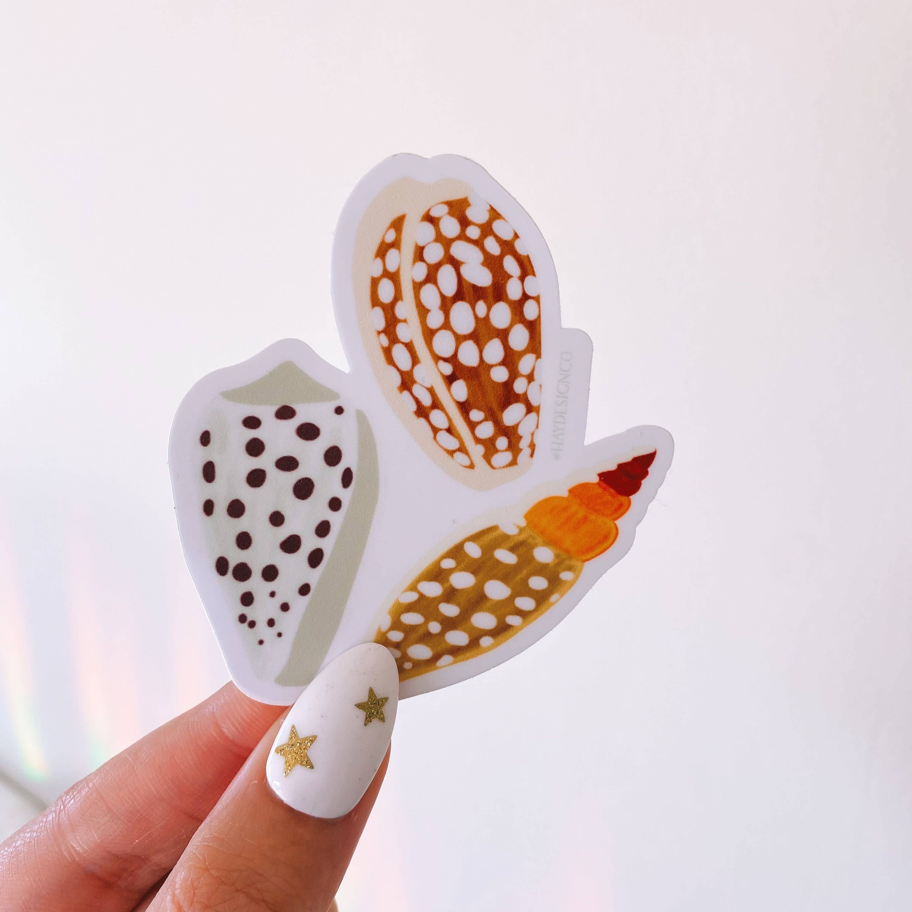 Cowrie Shell Sticker