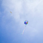 Strike Single Box Kite