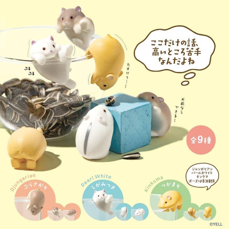 Surprise Box: Hanging Hamster