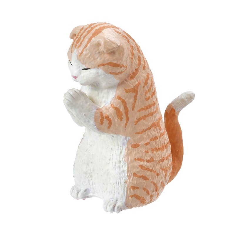 Surprise Box - Prayer Cat