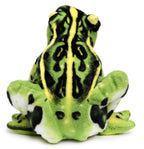 Frisco The Frog 10"