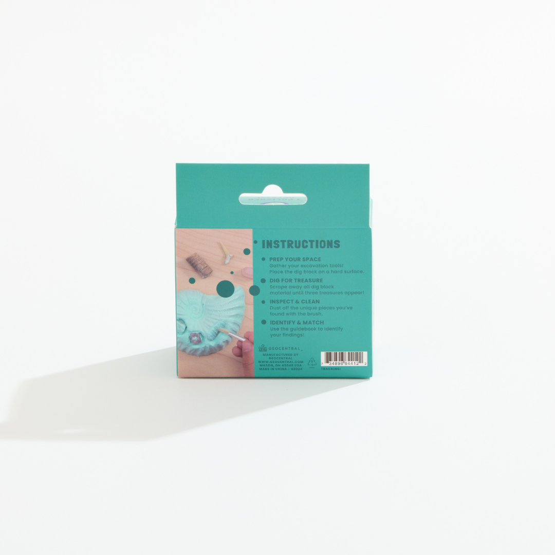 Ocean Treasure Dig Kit