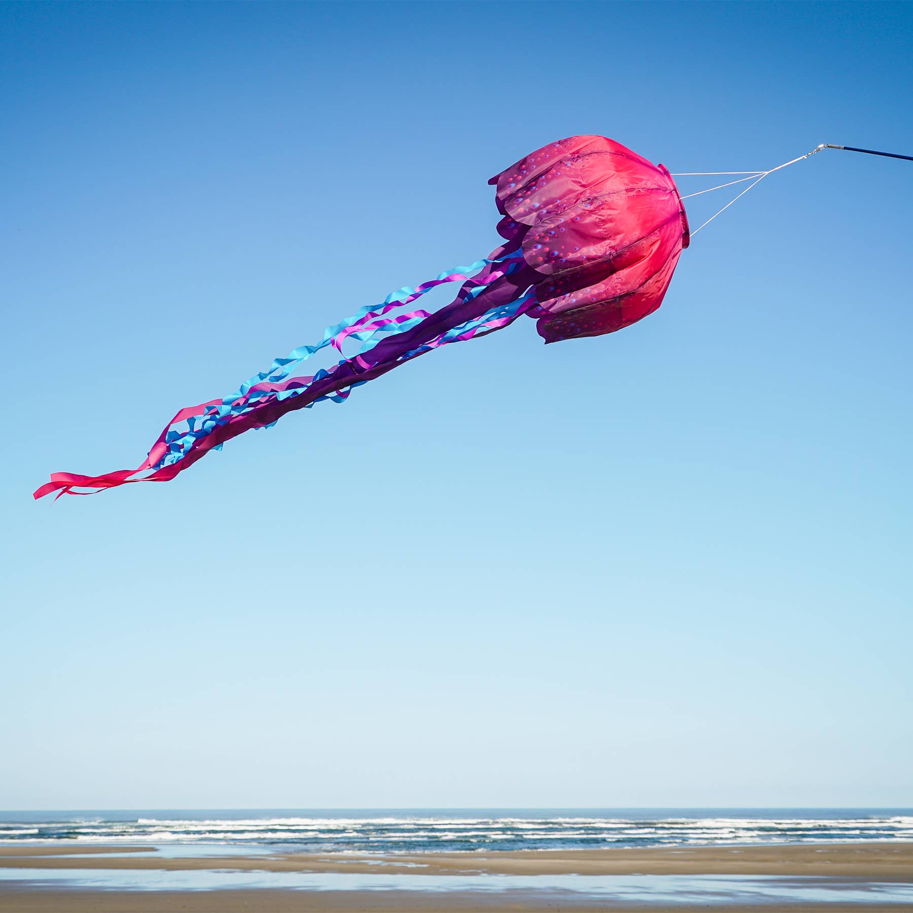 Jellyfish Big Breeze Windsock™