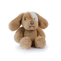Little Duke Dog Caramel