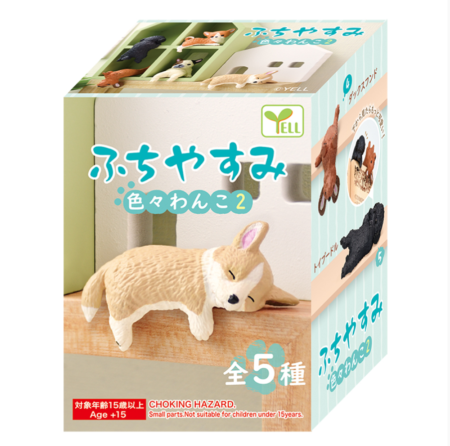 Surprise Box - Resting Dog