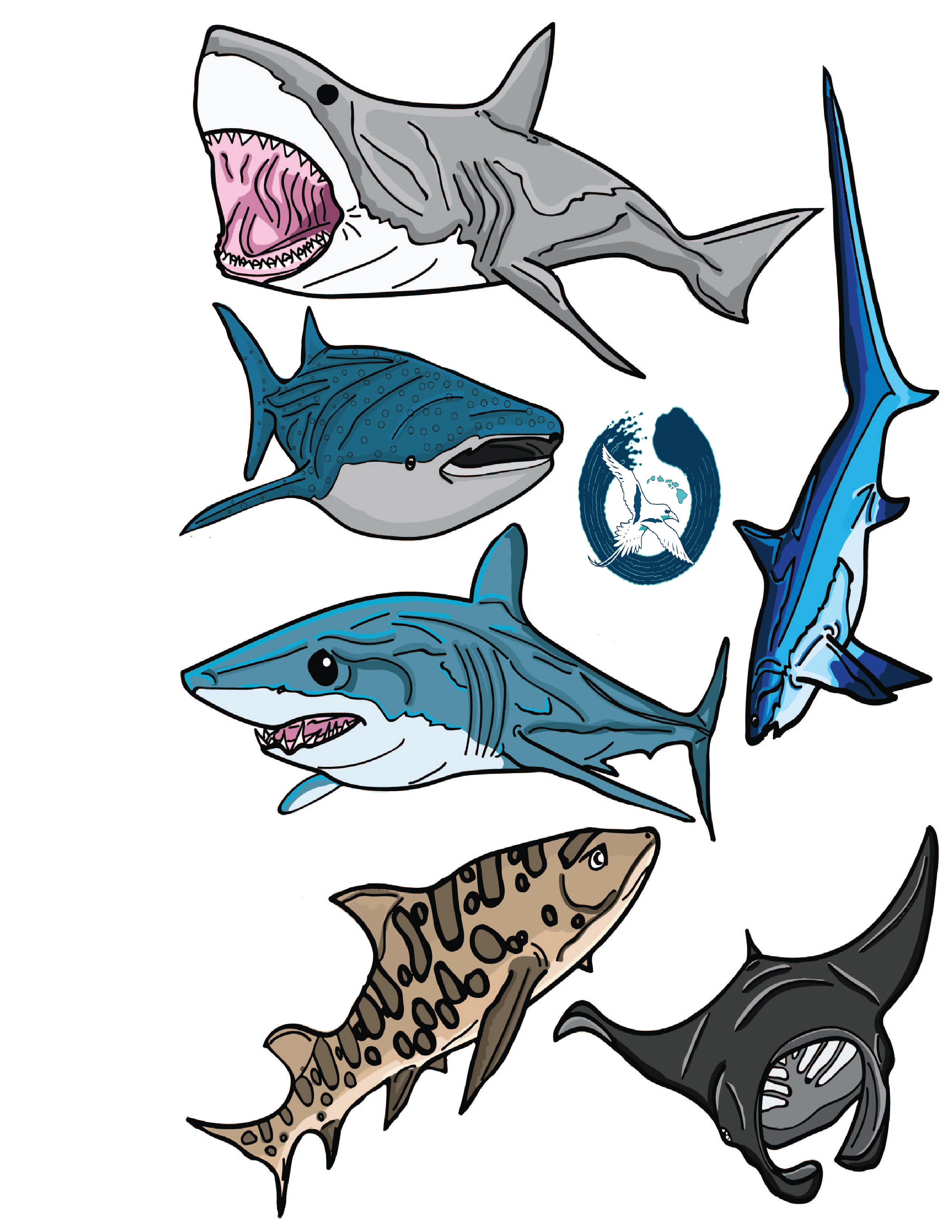 Sharks and Rays Educational Coloring Book
