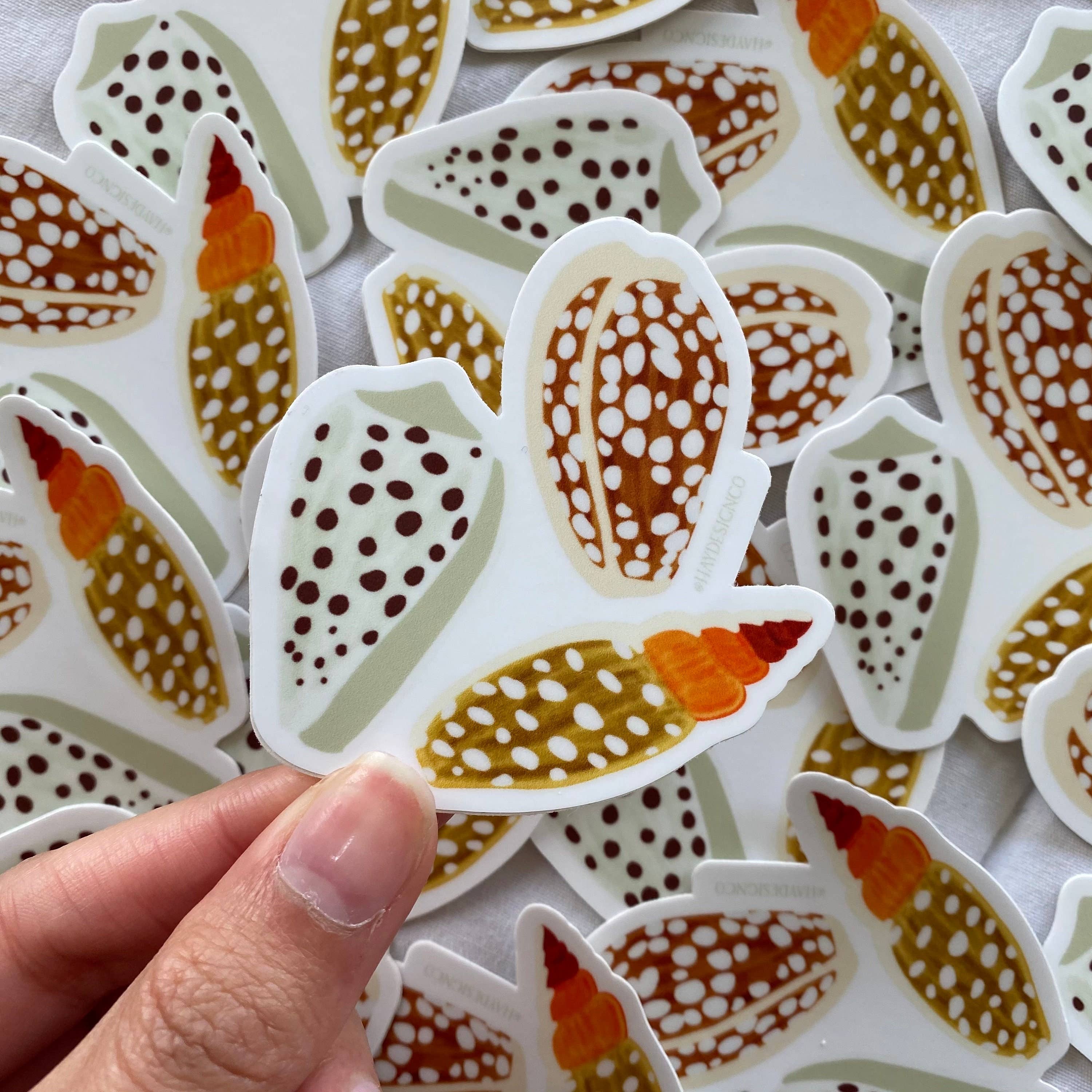 Cowrie Shell Sticker