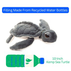 10" Gray Kemp Turtle Plush
